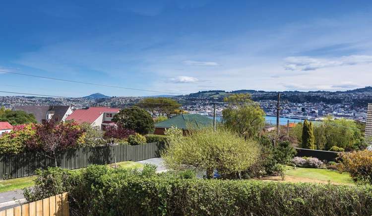 101 Belford Street Waverley_14