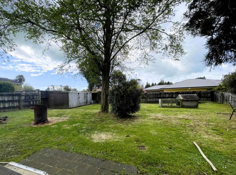 172 Rata Street Inglewood_6