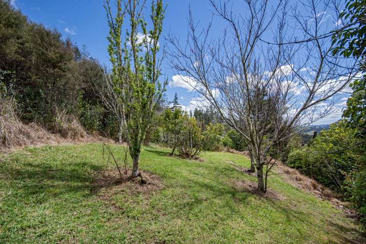 26 Quail Rise Kauri_27