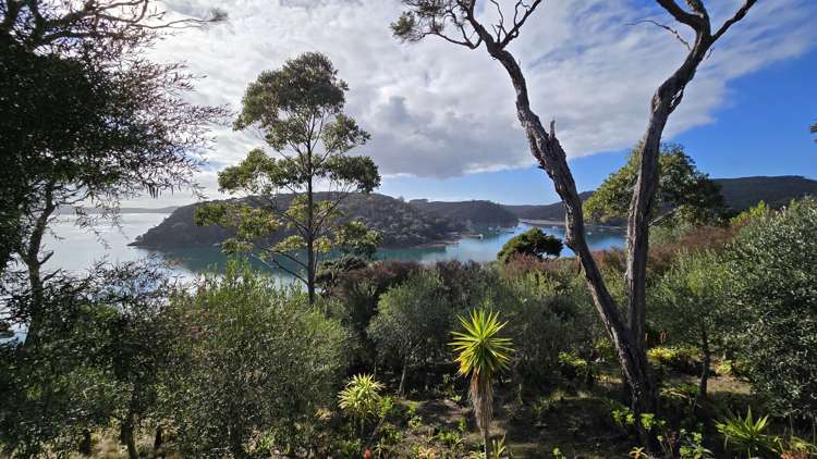 Lot 172 North Cove Kawau Island_20