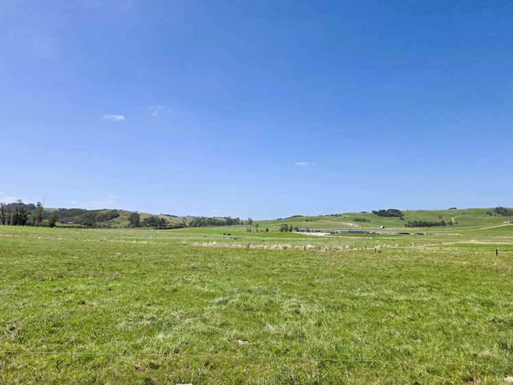 77 Molloy Road Ruawai_15