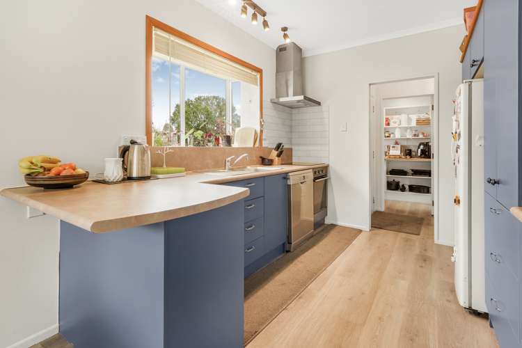 31 Mcghie Road Kihikihi_5