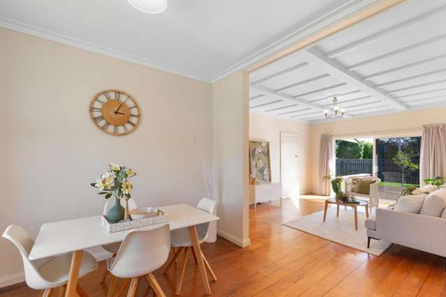 36 Salisbury Street Levin_1