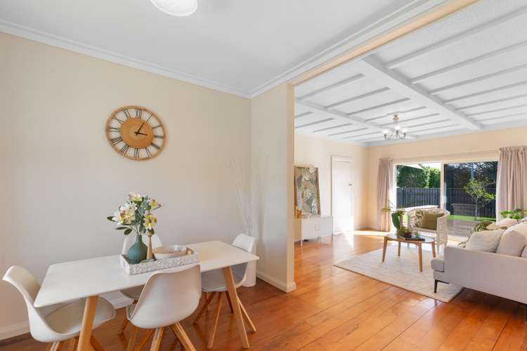 36 Salisbury Street Levin_1