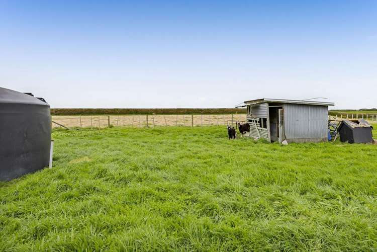 253 Mawhitiwhiti Road Normanby_10