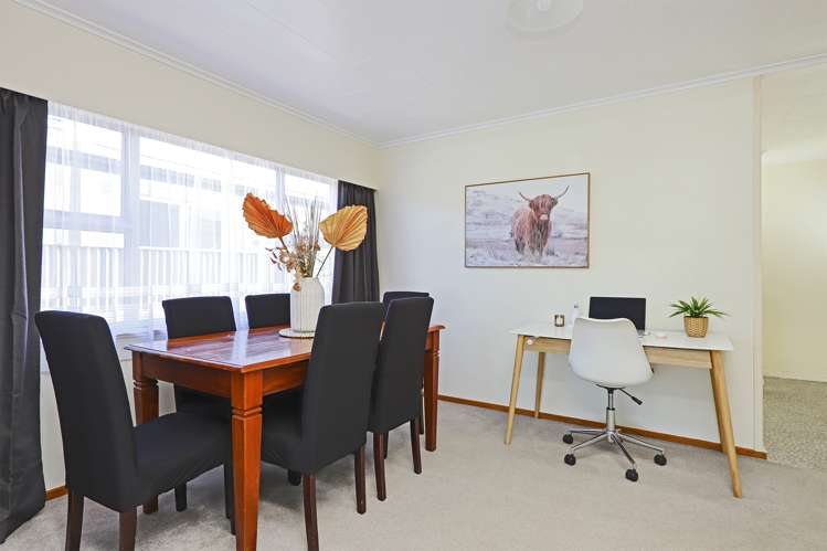 20 Southwark Avenue Tamatea_11