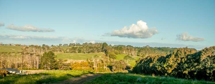 221 Amreins Road Taupaki_42
