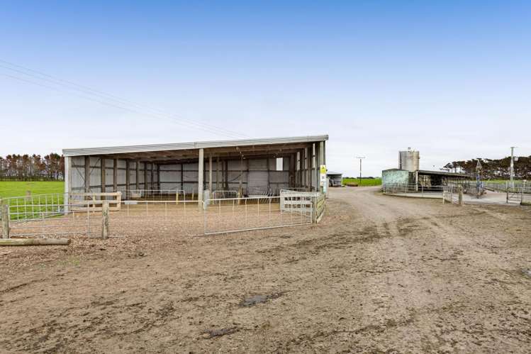 0n Ahipaipa Road Okaiawa_12