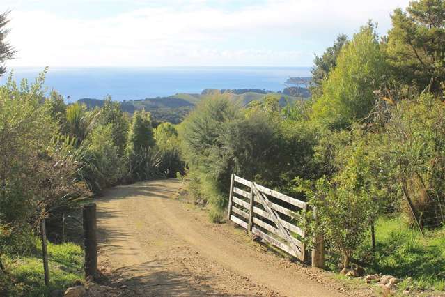 Wainui Road Whangaroa_2