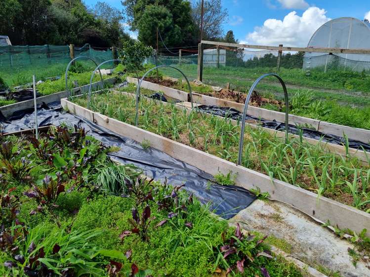 165 Pekanui Road Puketotara_23