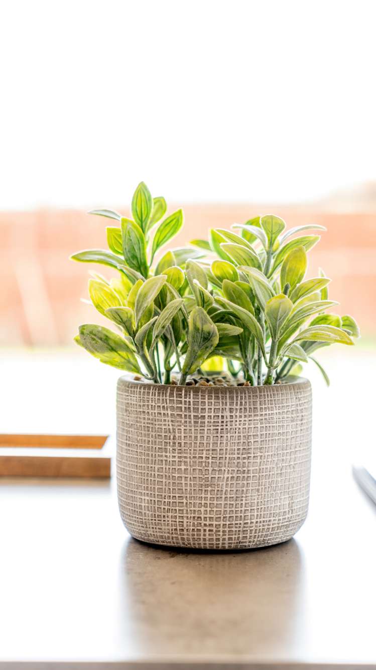 4 Chapman Place Kaiapoi_31