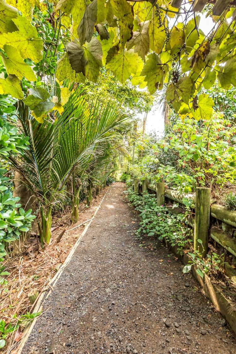 10 Childs Avenue Pukekohe_20