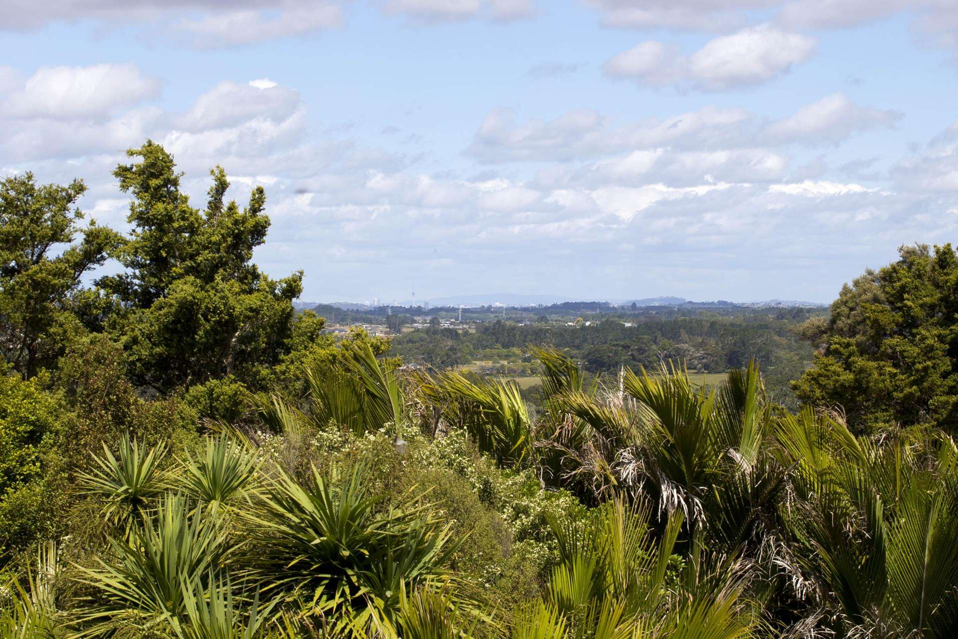 102 Taylor Road Waimauku_0