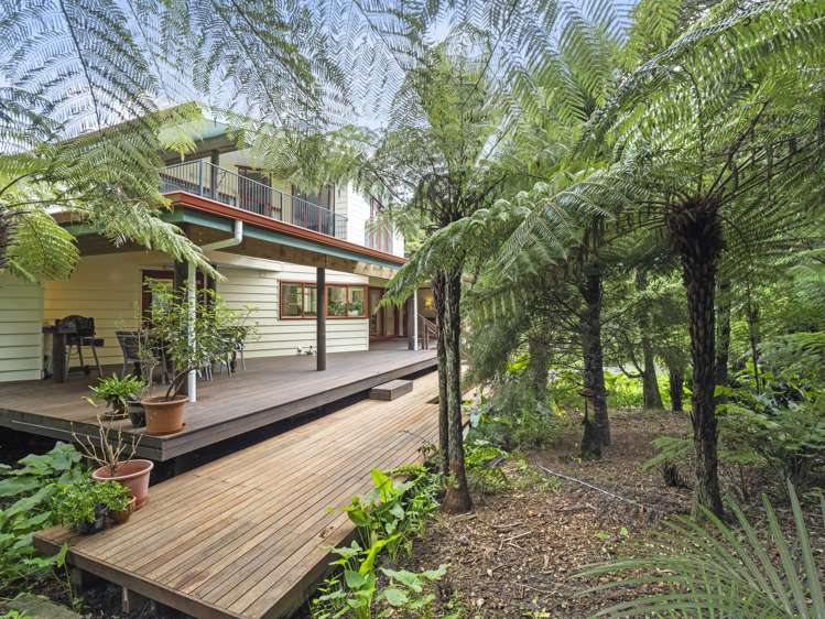 145 Upper Harbour Drive Greenhithe_25