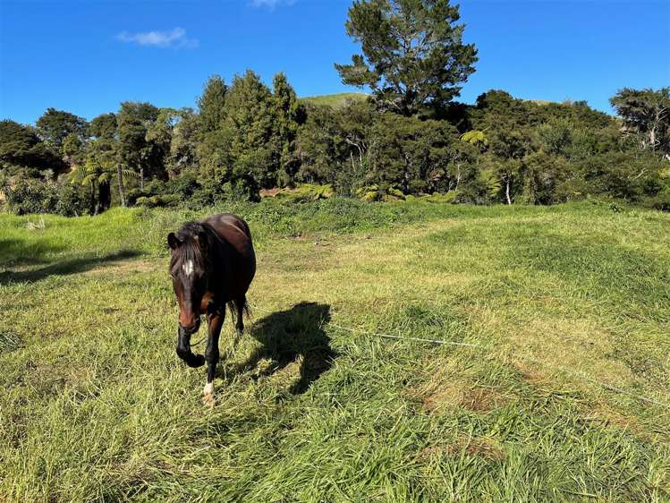 Moerangi Road Oparau_0