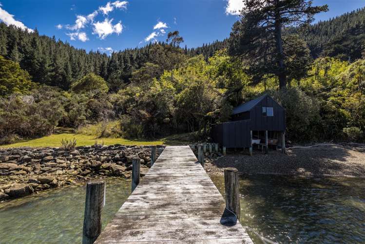 Little Nikau Bay Kenepuru Sound_26