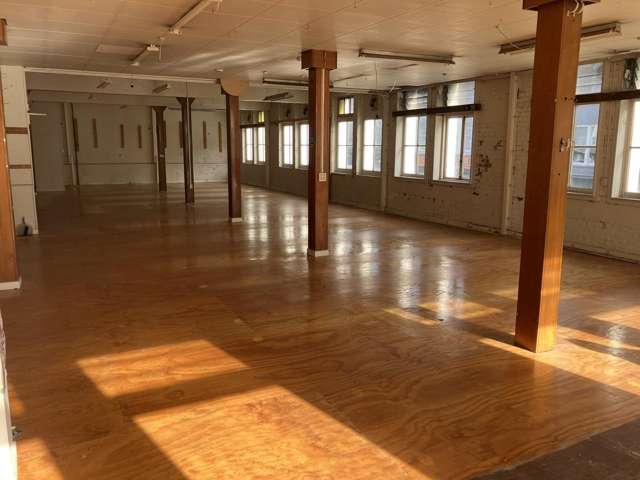 Level 1/270 Wakefield Street Te Aro_2