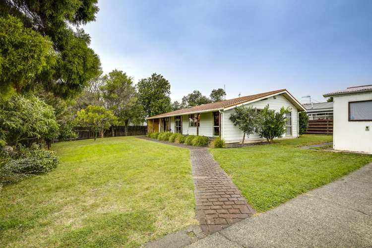 47 Plunket Street Tamatea_23