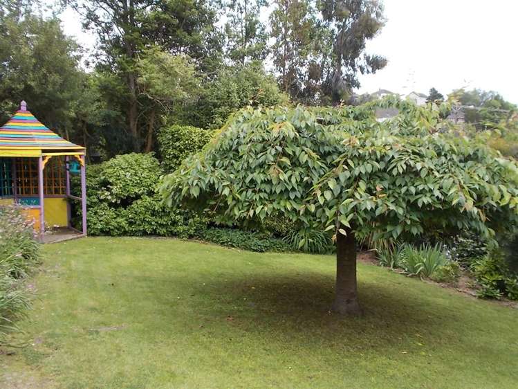 33 Glen Street Marchwiel_8