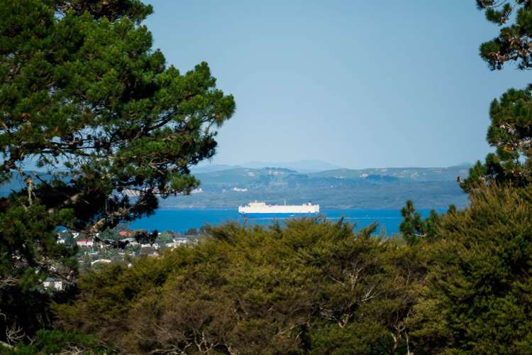 16 Glendhu Road Bayview_9