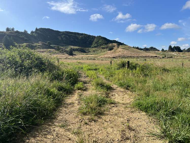 Waitomo Valley Road_5