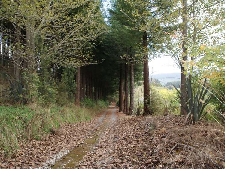 565 Mangaparo Road Ohura_17