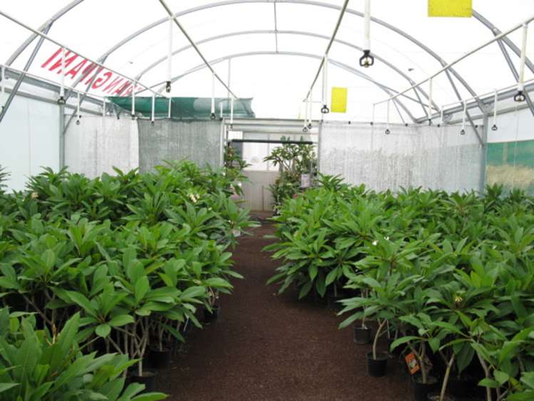 330 West Coast Road Awanui_17