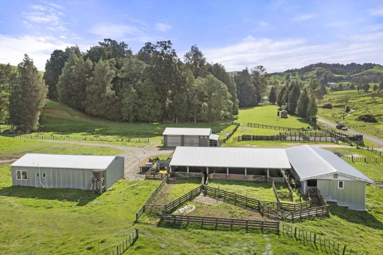 Mangatea Road Te Kuiti_23