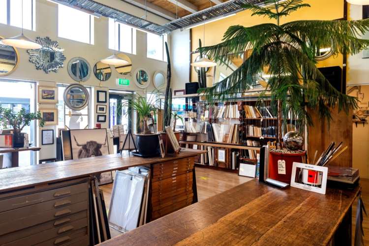 394 Colombo Street Sydenham_3