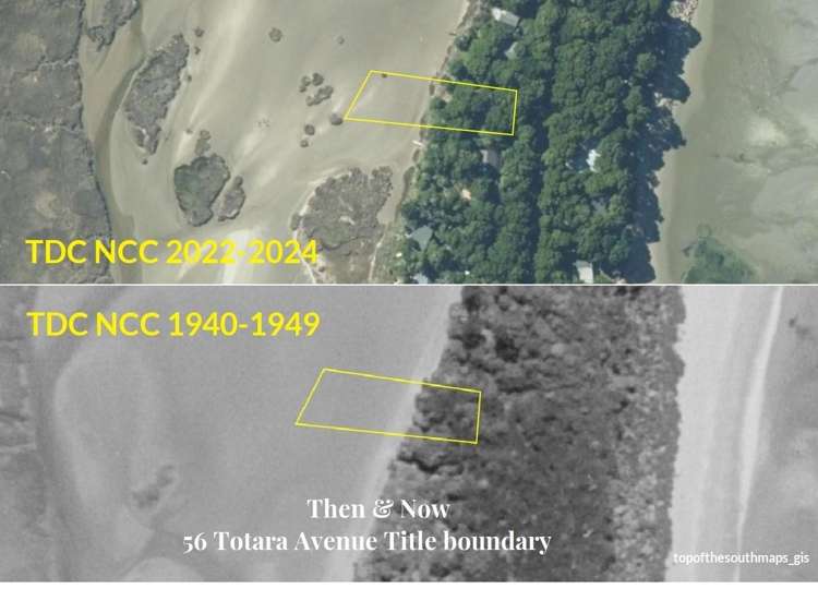 56 Totara Avenue Collingwood_8