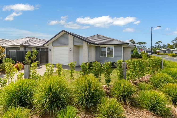 4 Pioneer Crescent Omokoroa_16
