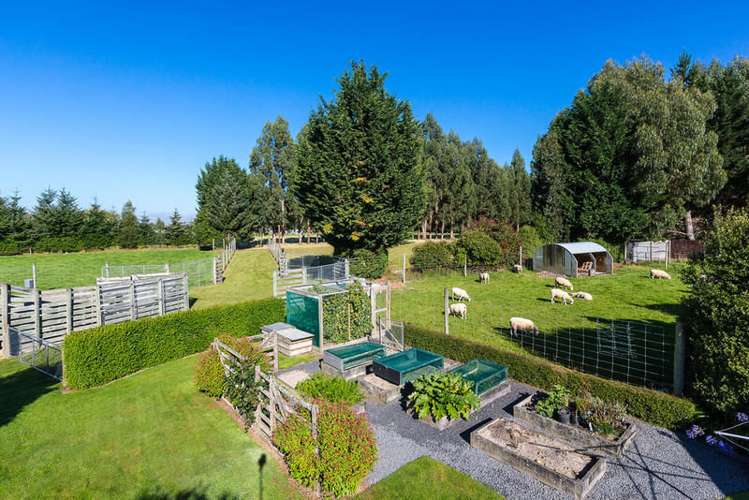 435 Gordon Road North Taieri_15