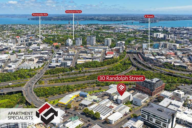 30 Randolph Street Eden Terrace_8