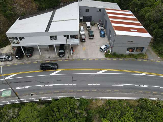 62 Kaiwharawhara Road Kaiwharawhara_4