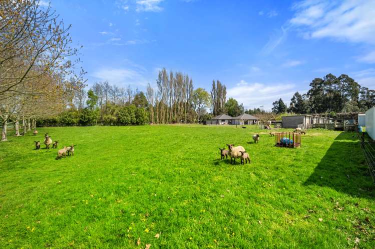 446 Buchanans Road Yaldhurst_7