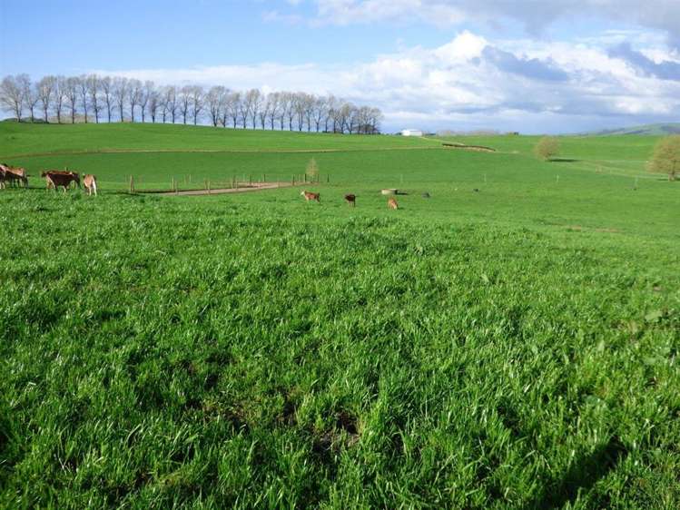 203/219 Paewhenua Road Maihiihi_14