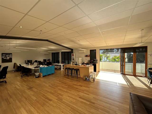 63 Ponsonby Road Grey Lynn_2