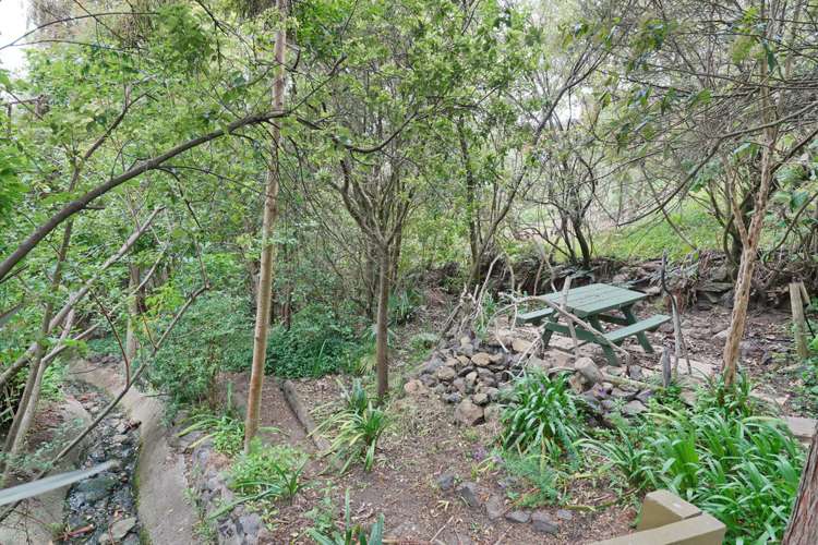 119 Mount Pleasant Road Mount Pleasant_11