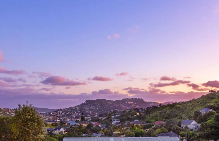 23 Ngarimu Grove Ngaio_14