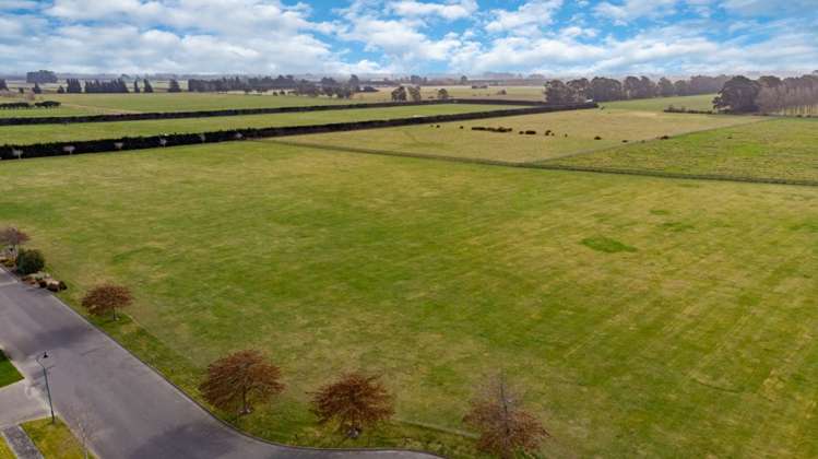 4 Blossom Lady Lane Templeton_24