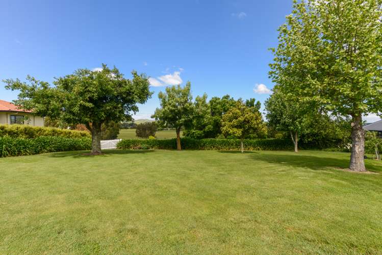 169 Porangahau Road Waipukurau and Surrounds_22