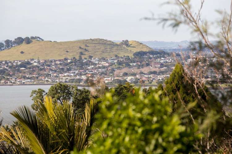 5 Belfast Street Hillsborough_24