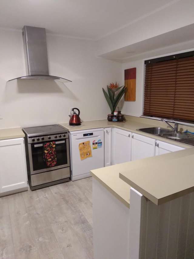 2 Robson Street Mount Roskill_4