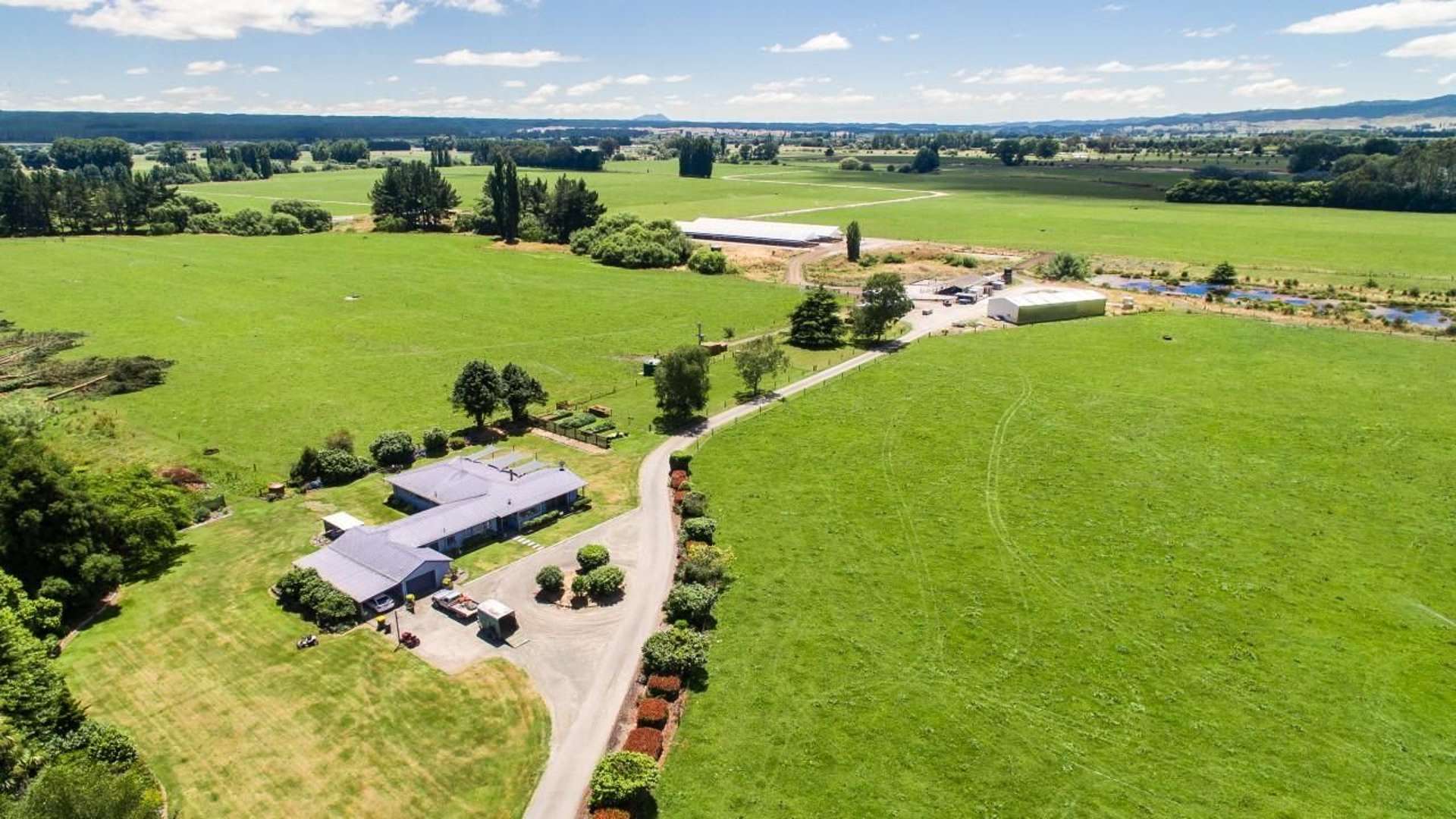 128 Mangamutu Road Murupara Surrounds_0