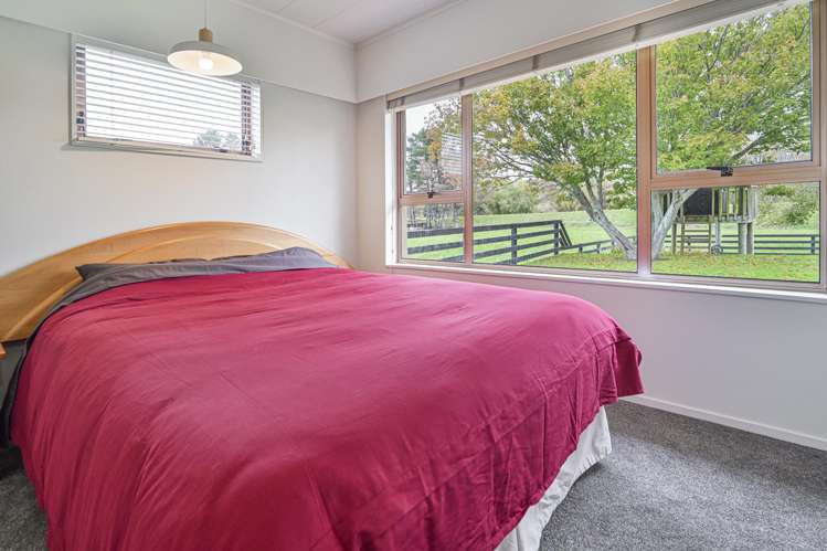 525 Springfield Road Puketapu_14