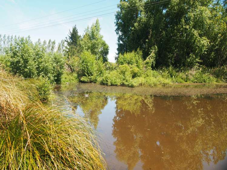 210 Terry Road Gore_17