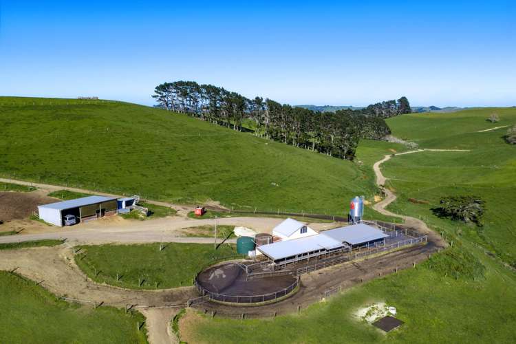 44 Te Papatapu Road Raglan_21