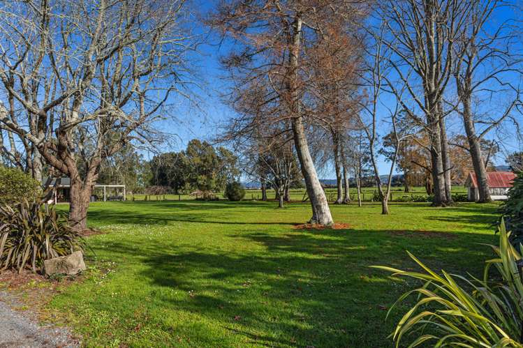 24 Willow Lane Edgecumbe_13