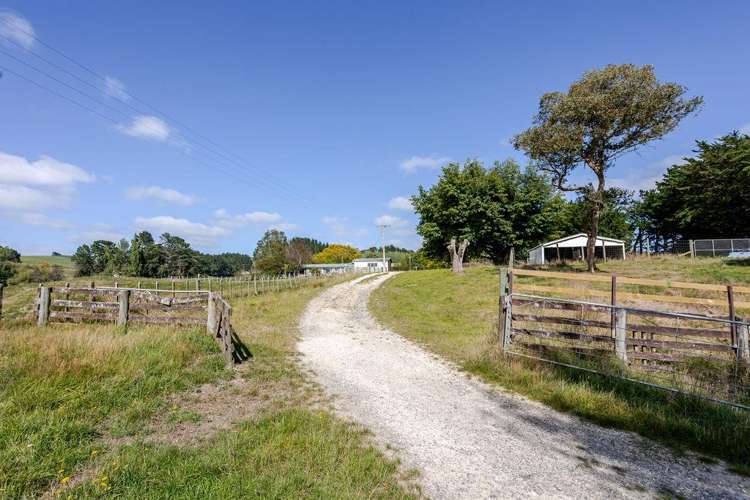 205 Ngawaka Road Flemington_10