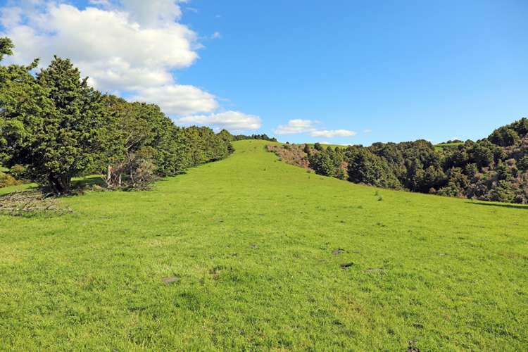 529 Jubilee Road Hukerenui and Surrounds_15